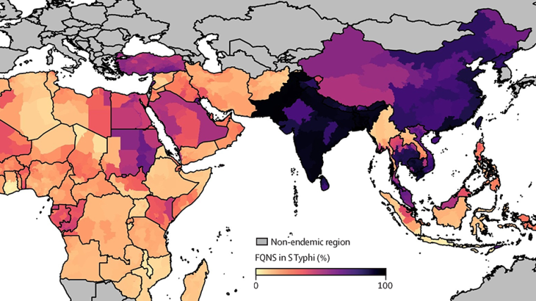 World map showing the prevalence of Fluoroquinolone non-susceptible Salmonella Typhi, 2019