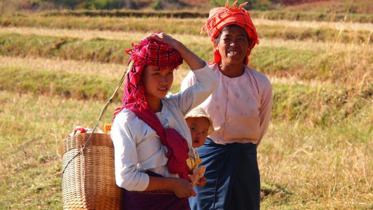 Myanmar women working in a field