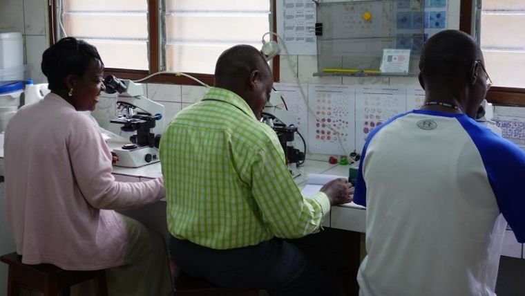 Three researchers using microscopes to study malaria parasites