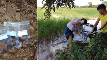 Composite photo of researchers analysing the soil for melioisodis bacteria (B. pseudomallei) in Myanmar