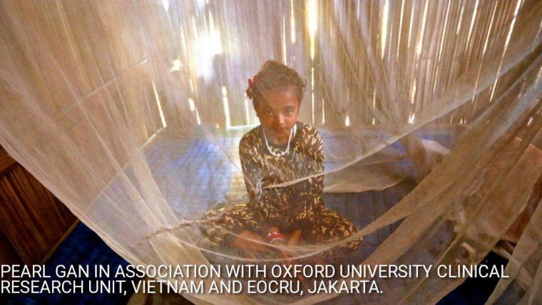 Child in a mosquito net