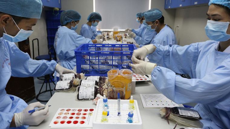 Medical technicians working with bags of blood
