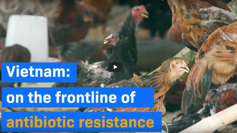 Screenshot of the video explaining the ViPark project, with the text: "Vietnam: on the frontline of antibiotic resistance"